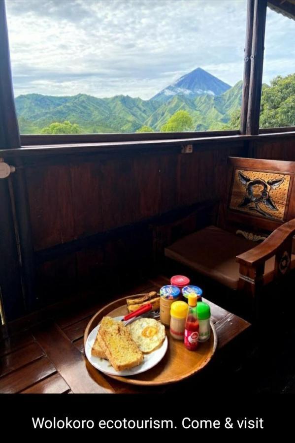 Home Stay Wolokoro Ecotourism Bajawa Экстерьер фото