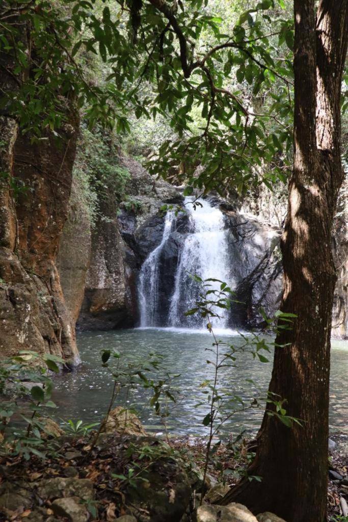 Home Stay Wolokoro Ecotourism Bajawa Экстерьер фото