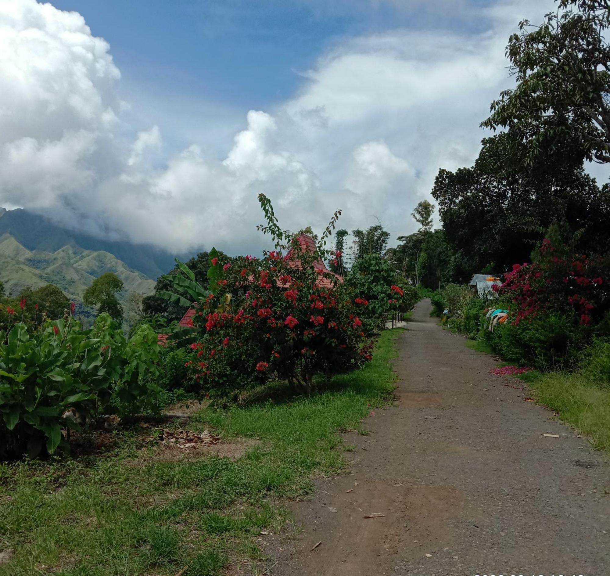 Home Stay Wolokoro Ecotourism Bajawa Номер фото