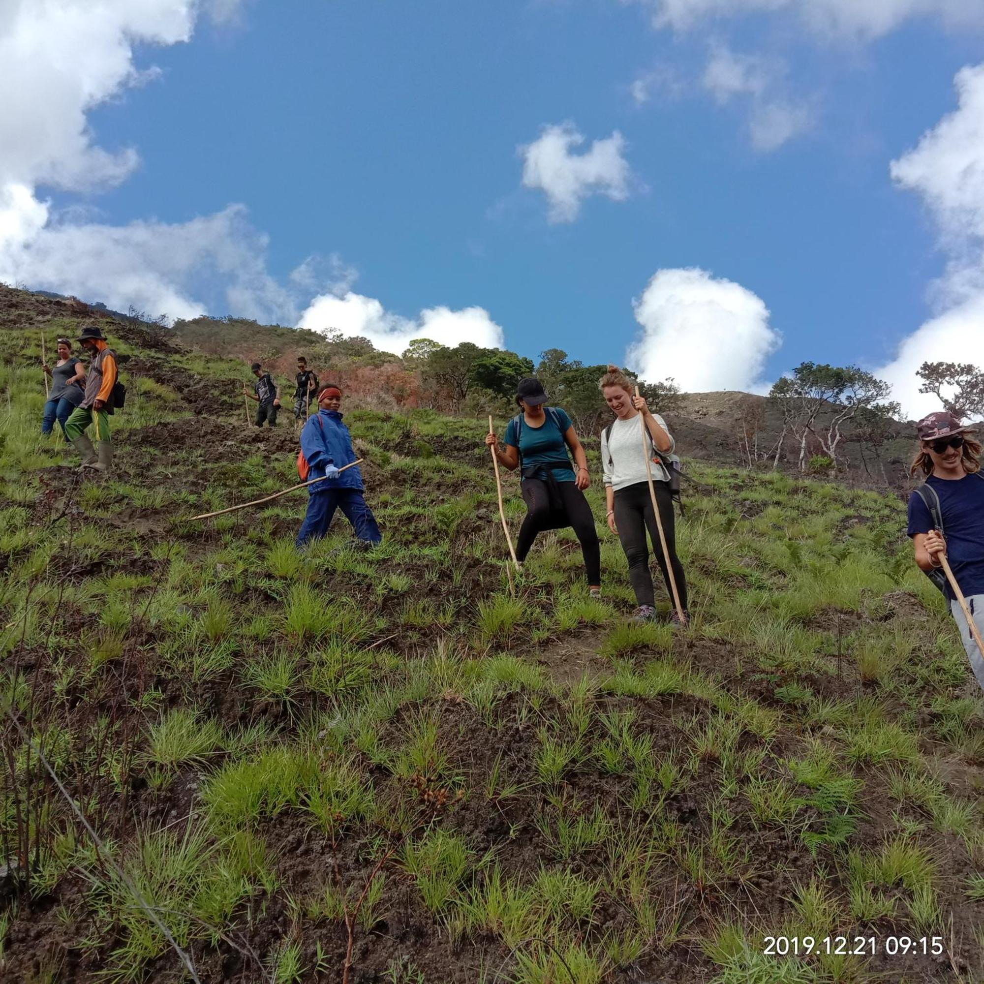 Home Stay Wolokoro Ecotourism Bajawa Номер фото